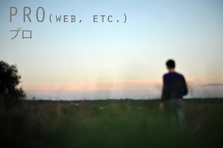 site professionnel (cration de sites web, etc.)